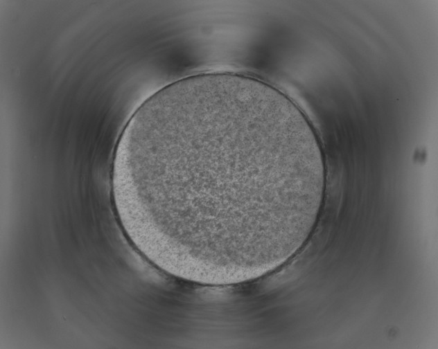 X0000091850810200710031640