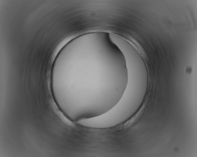 X0000091850812200710031640