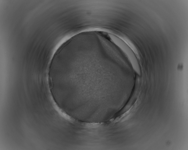 X0000091850813200710031640