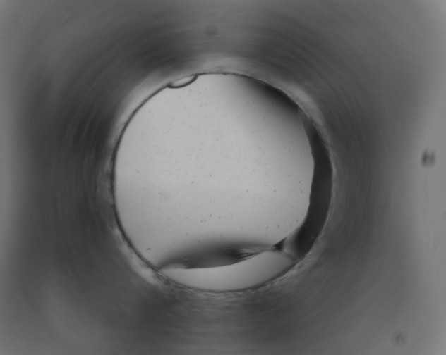 X0000091850816200710031640