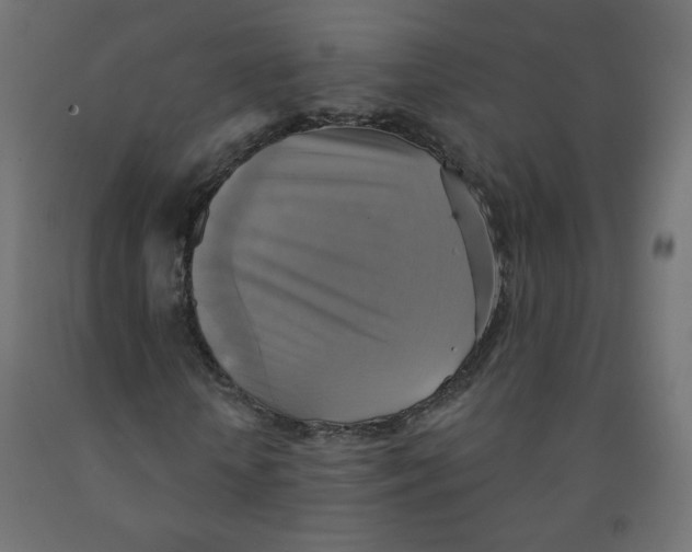 X0000091850818200710031639