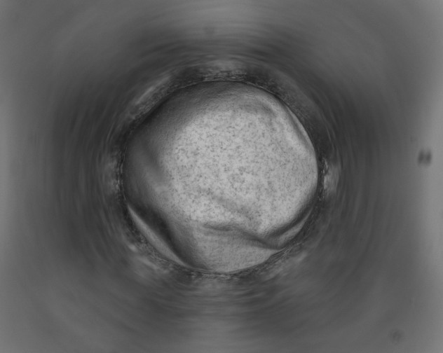 X0000091850819200710031639