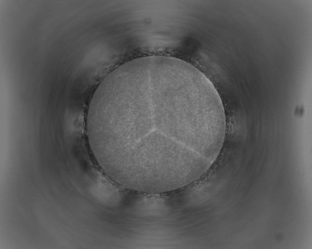 X0000091850820200710031639
