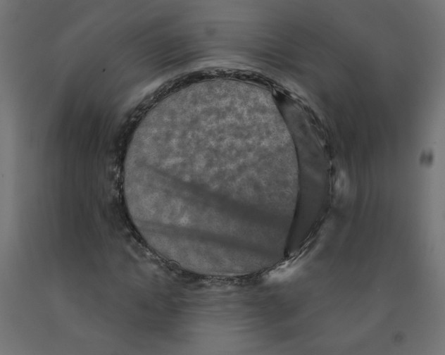 X0000091850822200710031639