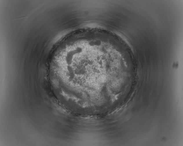 X0000091850823200710031639