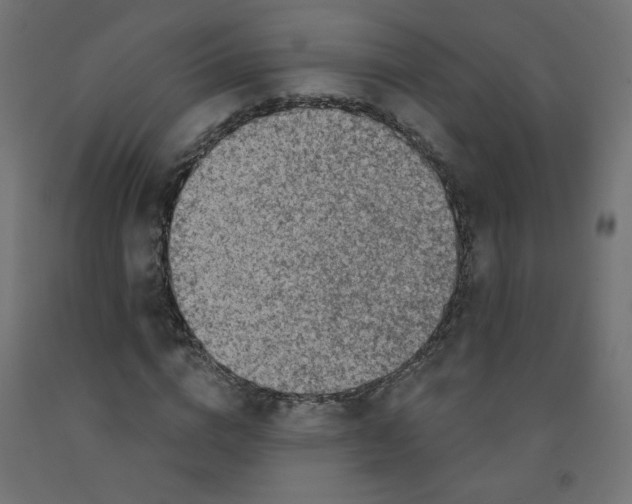 X0000091850824200710031639