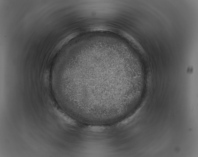 X0000091850825200710031639