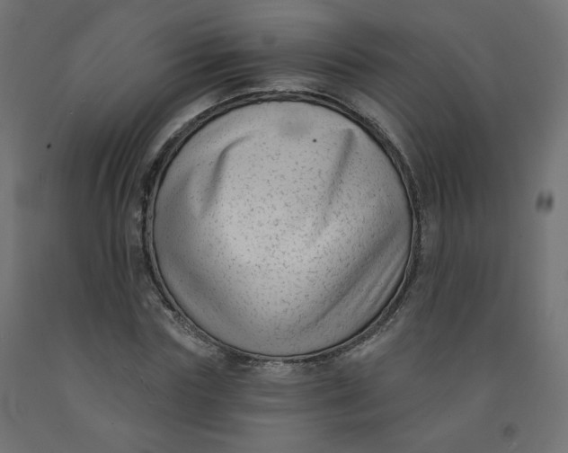 X0000091850827200710031639