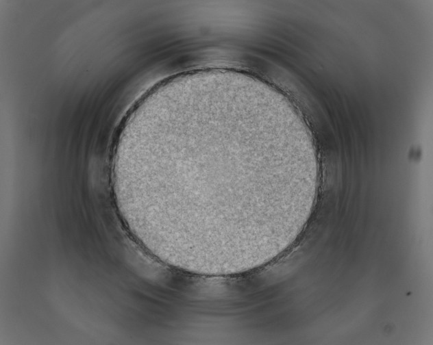 X0000091850828200710031639
