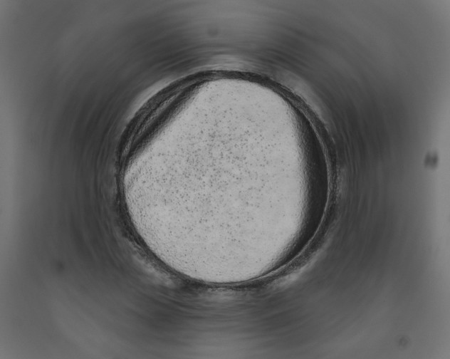 X0000091850829200710031639