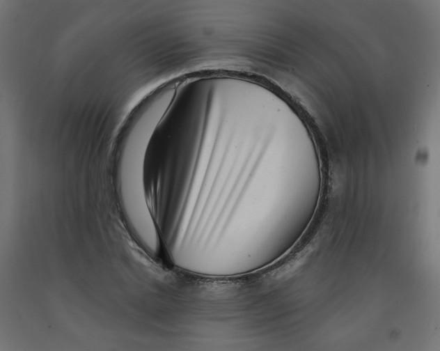 X0000091850830200710031639