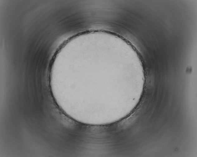 X0000091850832200710031639