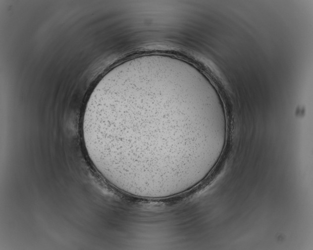 X0000091850833200710031639