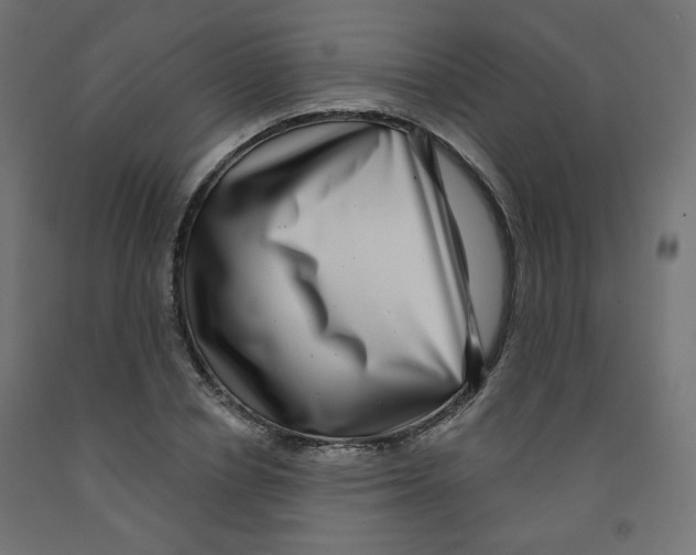 X0000091850834200710031639