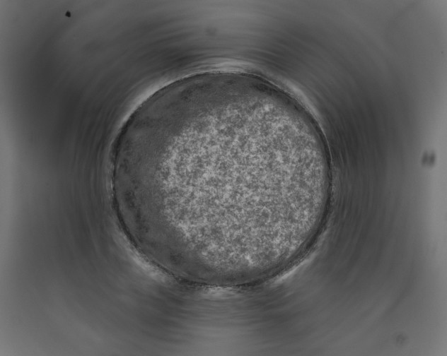 X0000091850835200710031639
