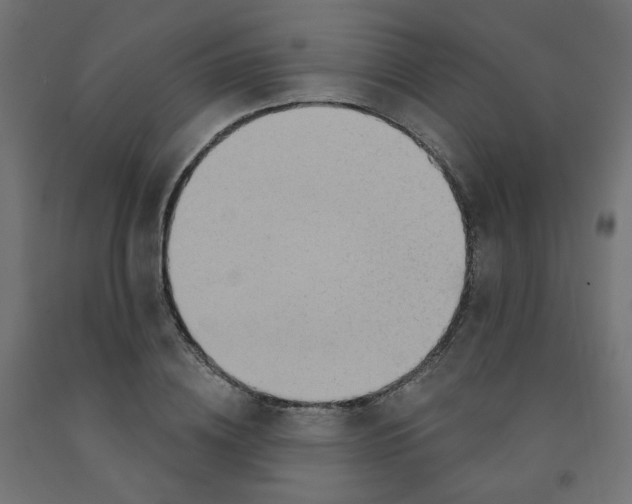 X0000091850836200710031639