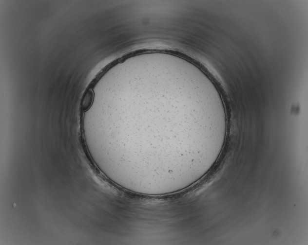 X0000091850837200710031639