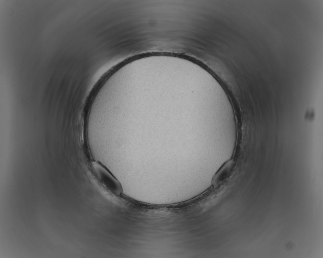 X0000091850838200710031639