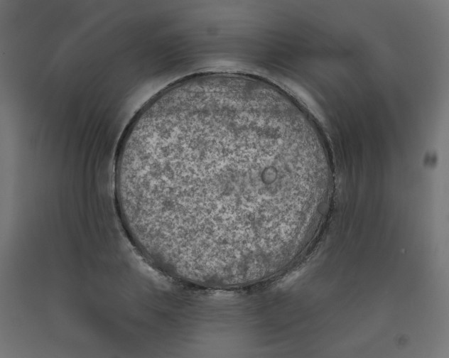 X0000091850839200710031639