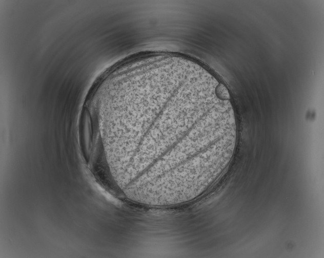 X0000091850840200710031639