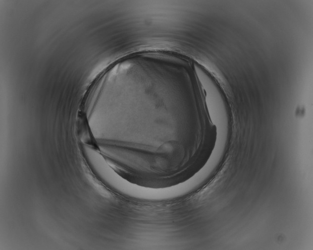 X0000091850842200710031639