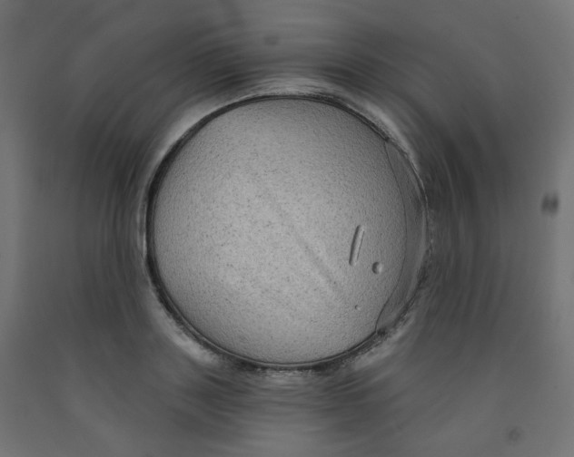 X0000091850843200710031639