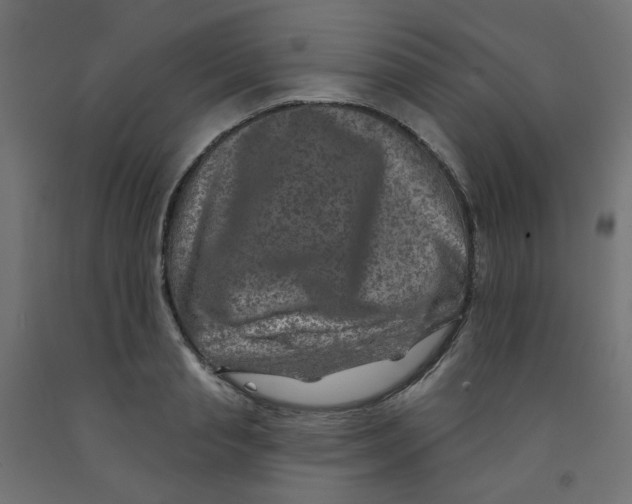 X0000091850845200710031639