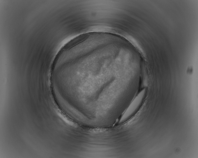 X0000091850846200710031639