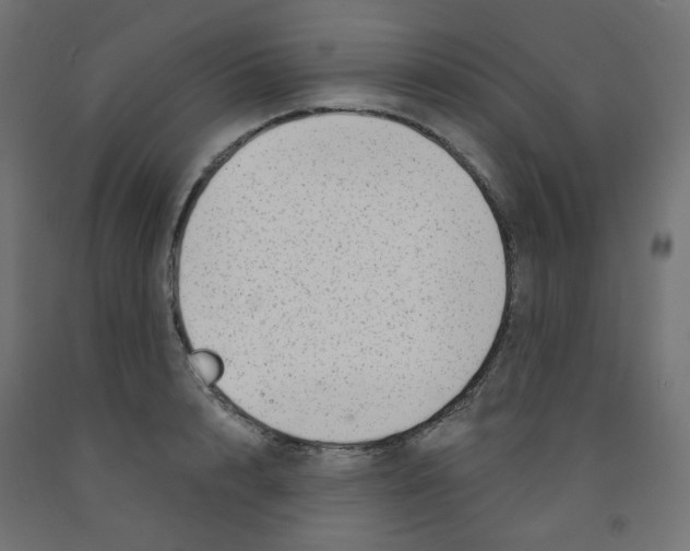 X0000091850848200710031639
