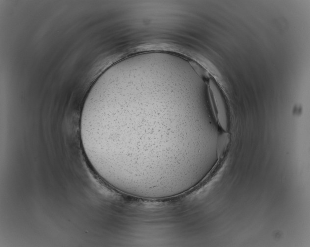 X0000091850849200710031639