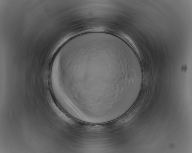 X0000091850851200710031639