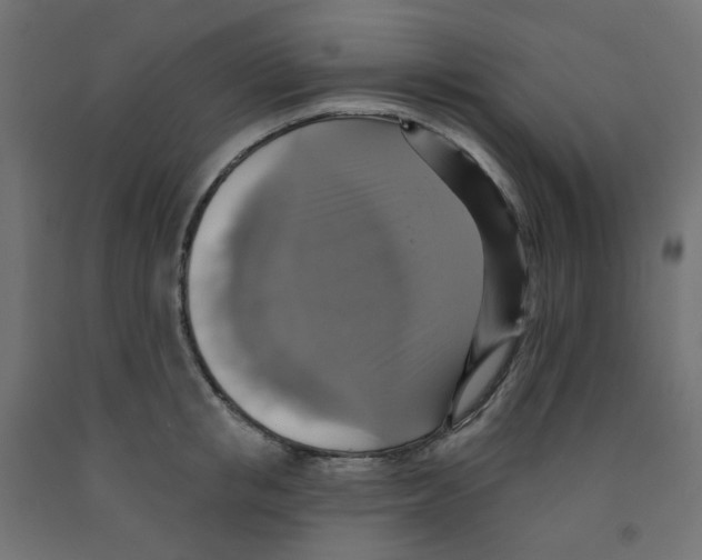 X0000091850853200710031639