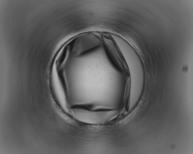 X0000091850854200710031639