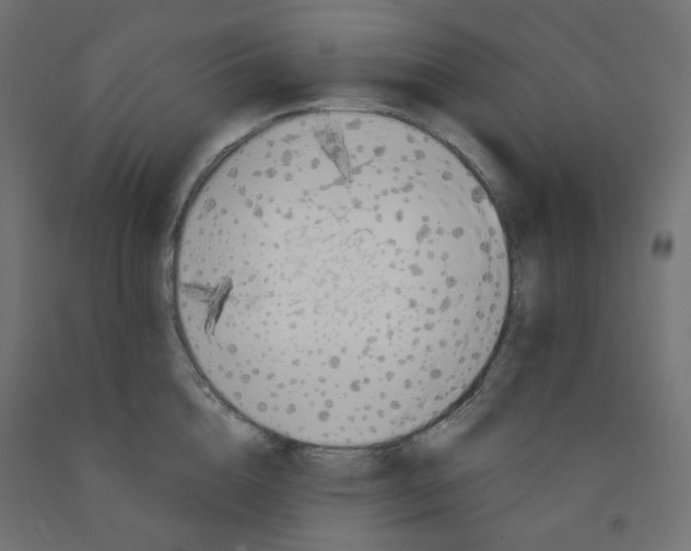 X0000091850856200710031639