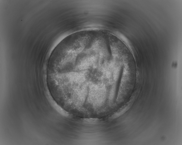 X0000091850859200710031639