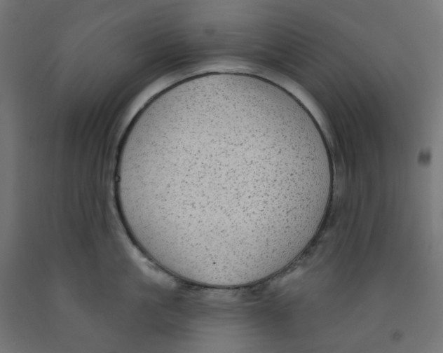 X0000091850861200710031640