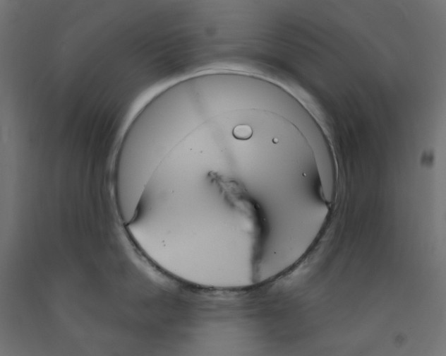 X0000091850862200710031640