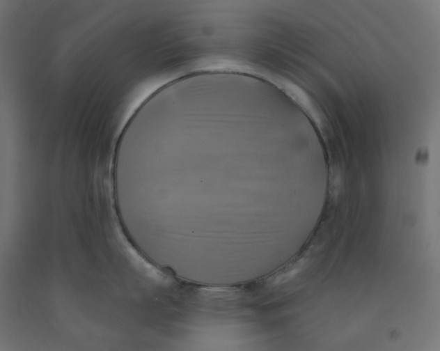 X0000091850863200710031640