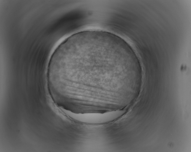 X0000091850864200710031640