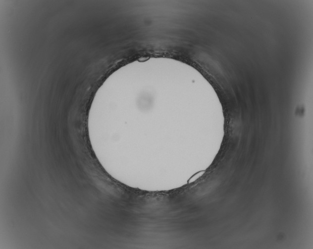 X0000091850865200710031639