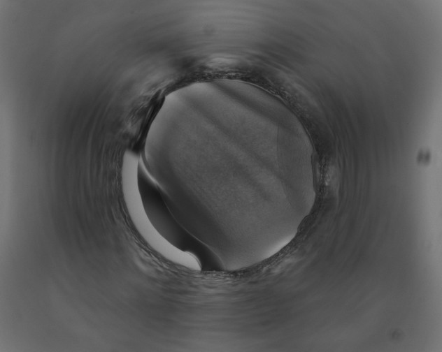 X0000091850868200710031639