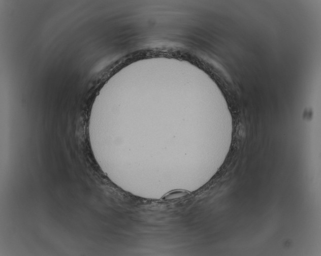 X0000091850869200710031639