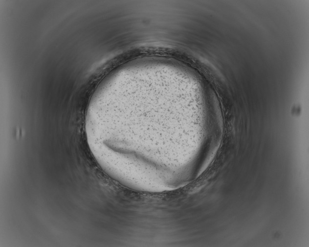 X0000091850870200710031639