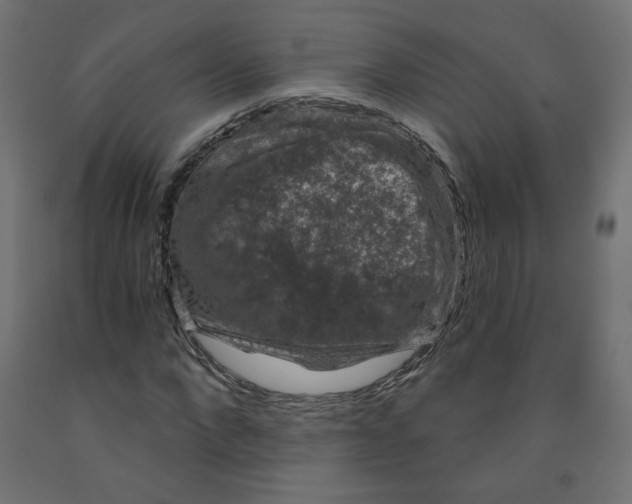 X0000091850872200710031639