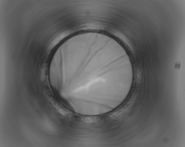 X0000091850874200710031639