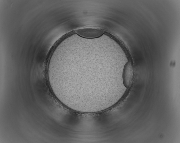 X0000091850875200710031639