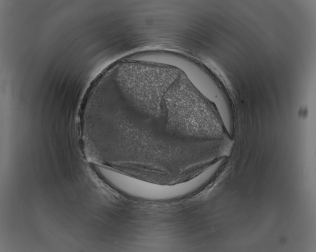 X0000091850876200710031639