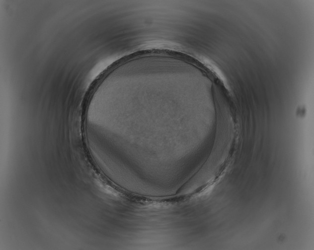 X0000091850877200710031639