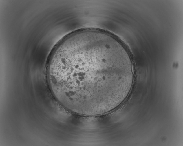 X0000091850879200710031639