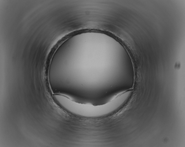 X0000091850880200710031639